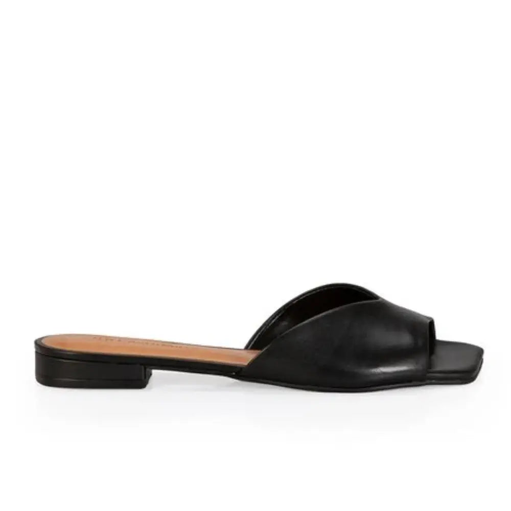 Zueco Cuero Negro/Rose